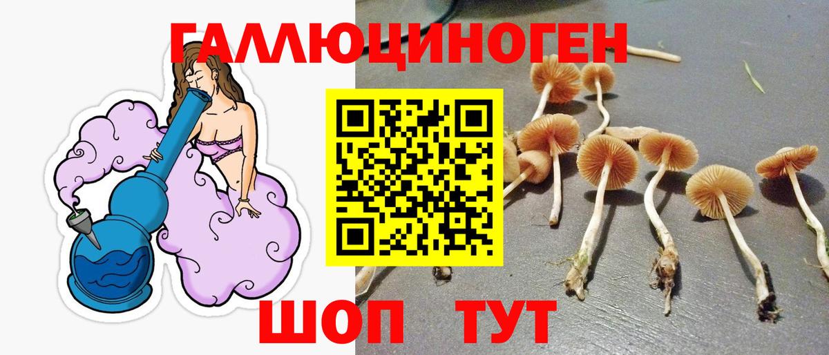 Кудрово  Галлюциногенные грибы ЛСД  продажа наркотиков  Вход с VPN 